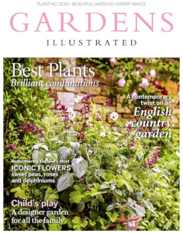 Deckchair design sourcebook - Denys & Fielding in Gardens Illustrated Mag 2017