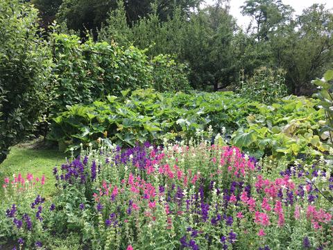 Walled garden of Llanerchaeron