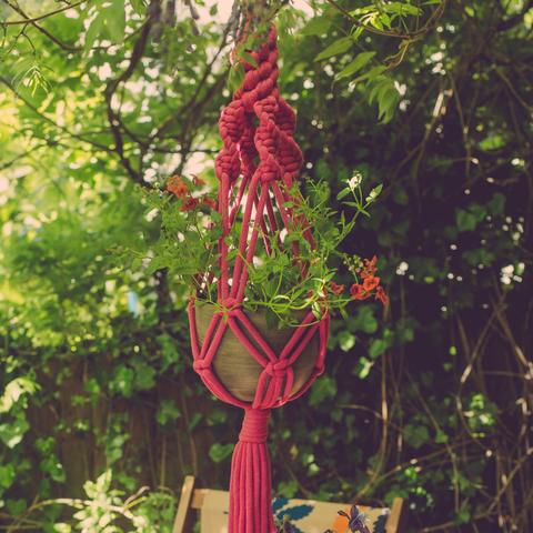 Macrame Plant Hangers